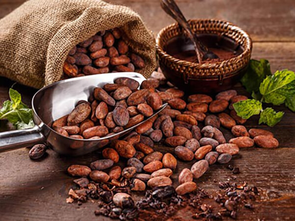 Sản phẩm cacao