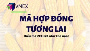 ma hop dong tuong lai