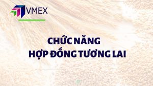 chuc nang hop dong tuong lai