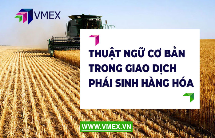 Tìm hiểu sm trong chứng khoán là gì để hiểu rõ hơn về thuật ngữ chứng khoán