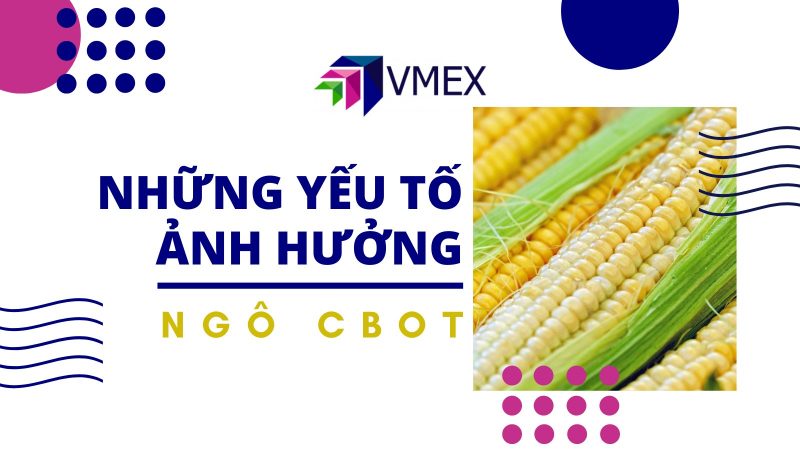 Liên kết giữa sàn giao dịch hàng hóa CBOT và Việt Nam là gì?

