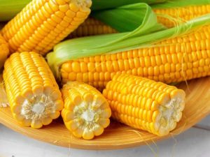 nguồn cung ngô Mỹ cbot thu hẹp