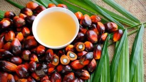 palm_oil