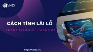 cách tính lãi lỗ trong hàng hóa phái sinh