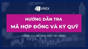 hướng dẫn tra mã hợp đồng và ký quỹ