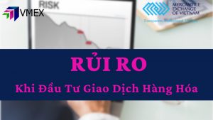 rủi ro khi giao dịch hàng hóa