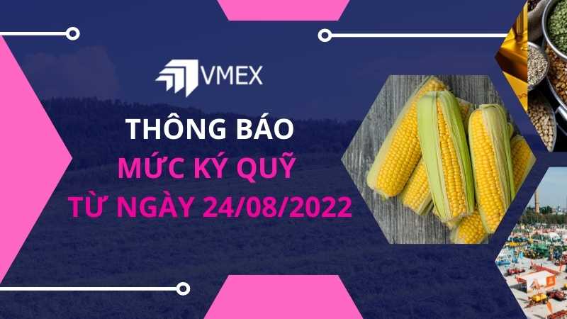 thay đổi ký quỹ 24-08-2022