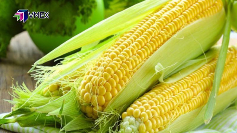 Giá ngô có thể tiếp tục suy yếu bất chấp nhu cầu
