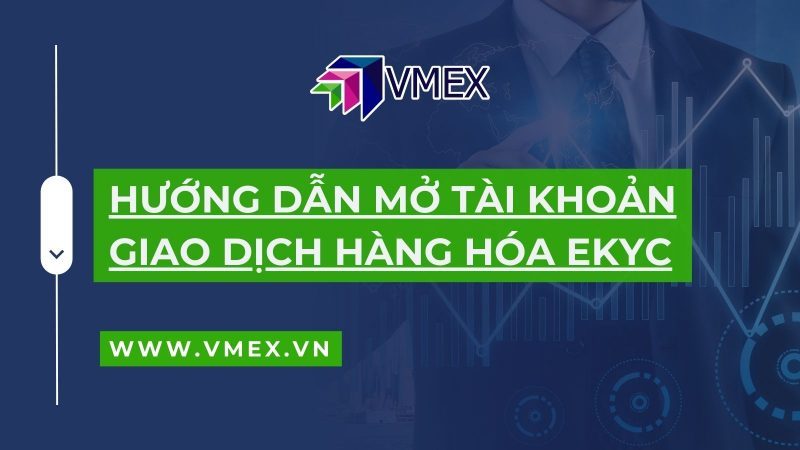 hướng dẫn mở tài khoản ekyc - vmex
