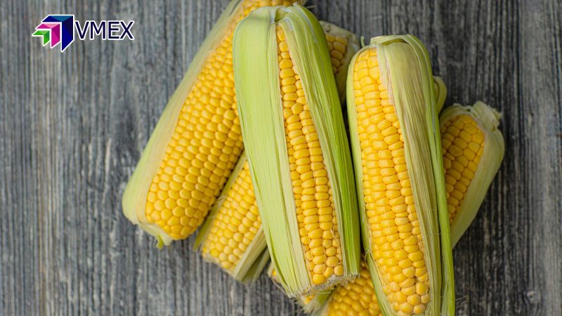 Giá lúa mì có thể sẽ test lại vùng 920 cents/giạ