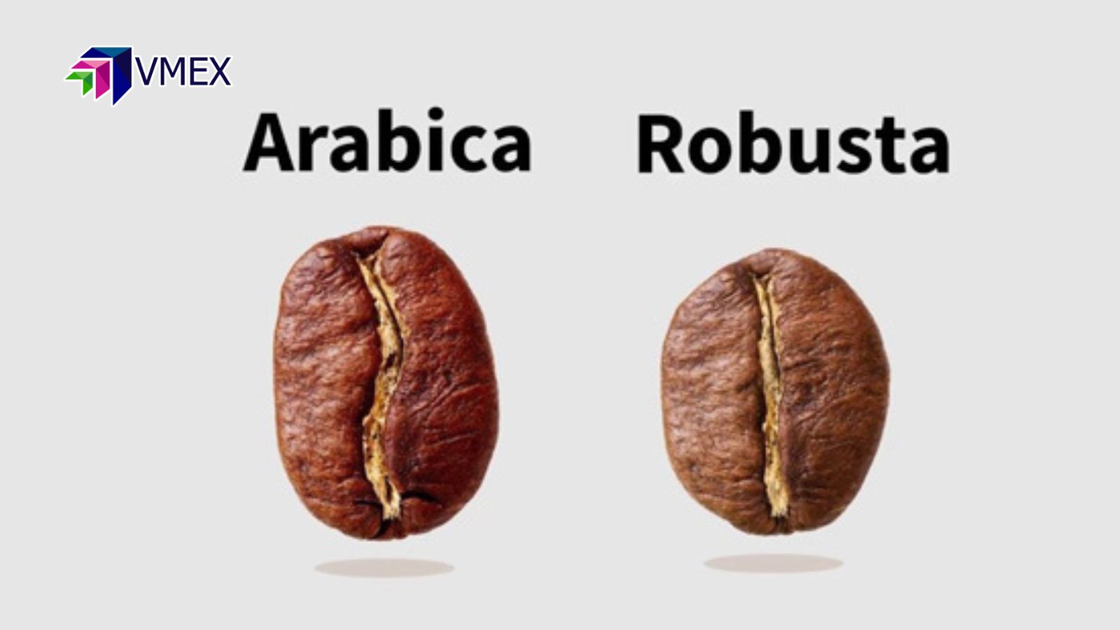 phân biệt cà phê arabica và robusta