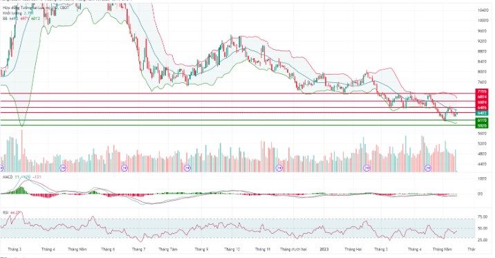 bieu do gia lua mi