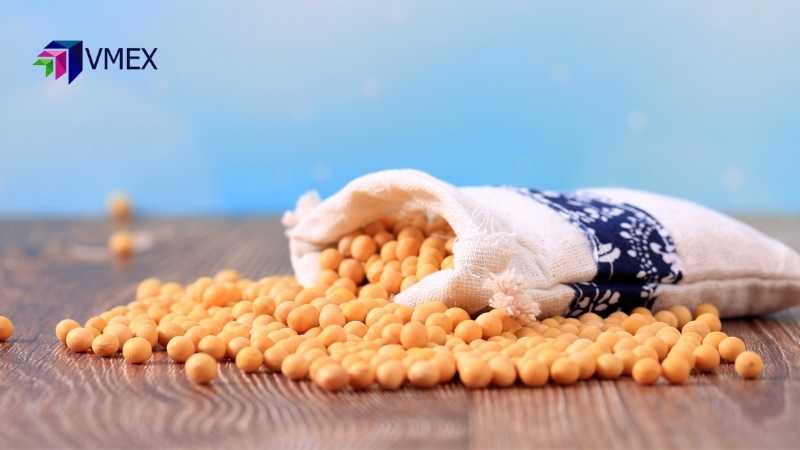 Giá ngô có thể sẽ trải qua nhịp hồi phục nhẹ