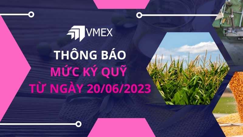 thay doi ky quy 2006