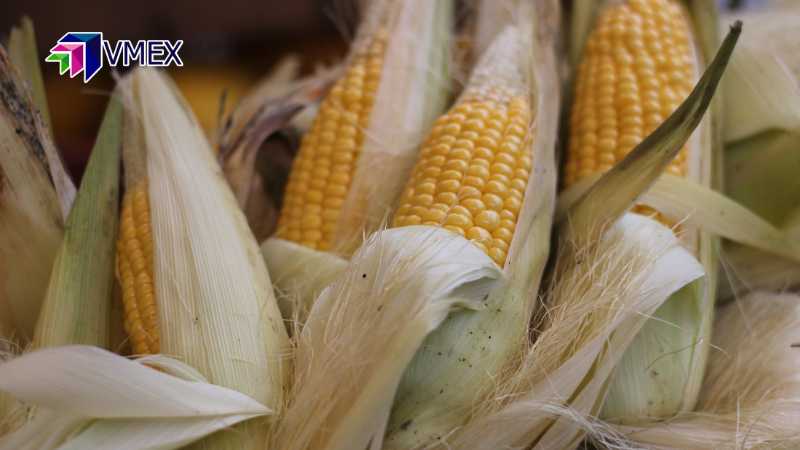 gia ngo kha nang sẽ giằng co