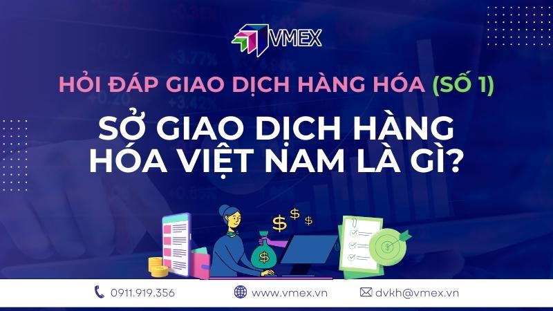 hỏi đáp số 1