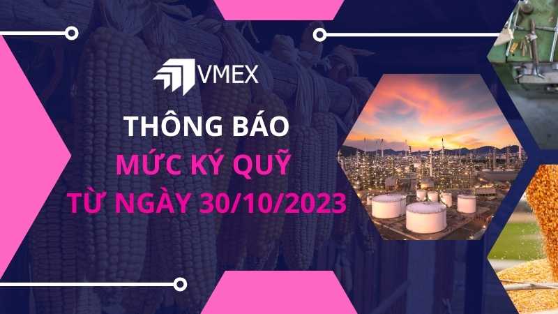 thay doi ky quy 3010