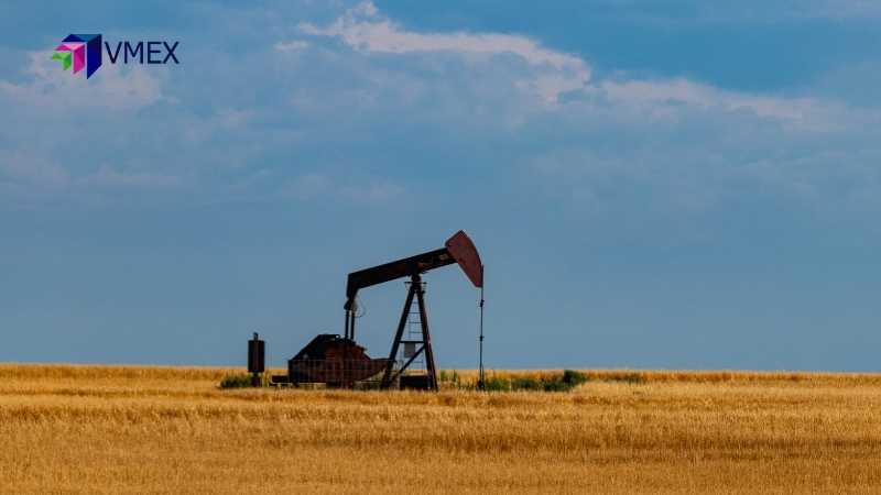 Giá dầu có thể tiếp tục giảm nhẹ trước bất đồng về cuộc họp OPEC+