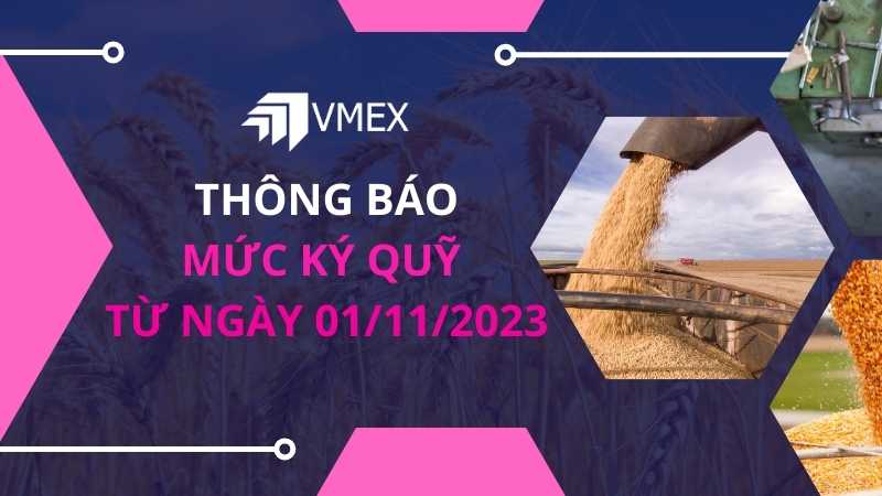 thay doi ky quy 0111