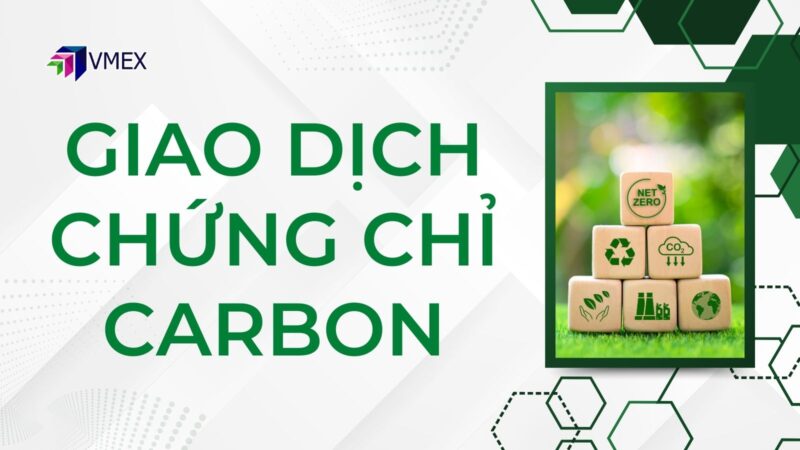 Giao dịch chứng chỉ Carbon